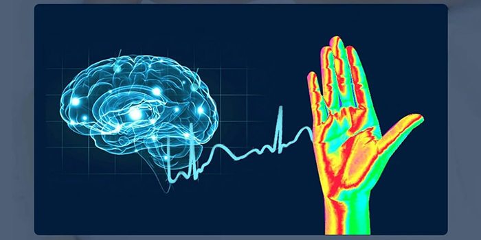 microcorriente mano cerebro microcorriente mano cerebro