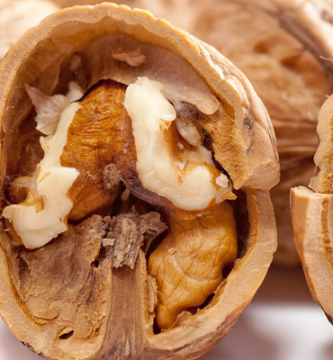 Proteínas vegetales de nueces